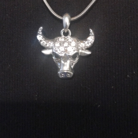 Other - Chicago Bulls head pendant chain